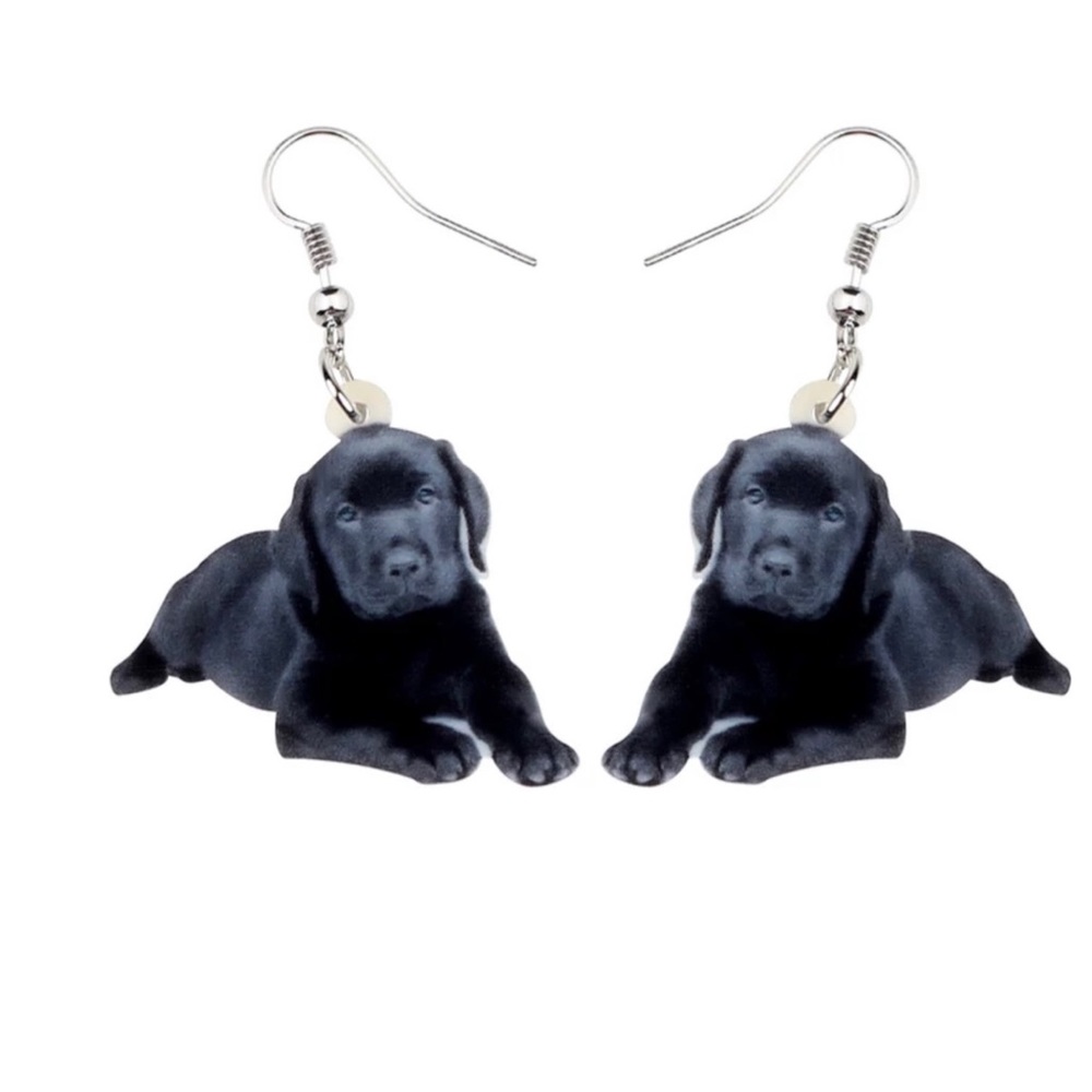 FREE SHIPPING | Double-Sided Acrylic Dangle Earrings NWT